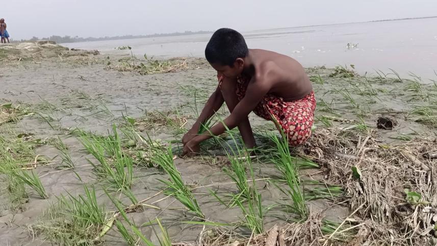 a50dlalmonirhat_flood_sand02_02102024_f495_dil.jpg