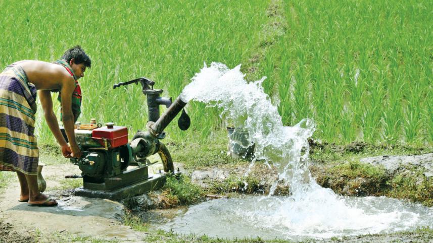 How an energy transition can secure our food production