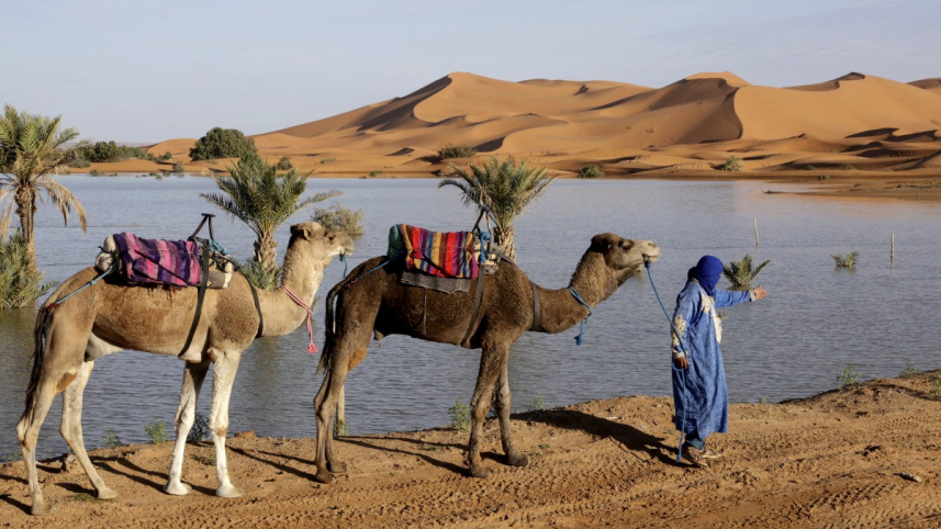 afp_20241021_36kh7f3_v3_preview_topshotmoroccoweatherclimatefloodingsahara.jpg