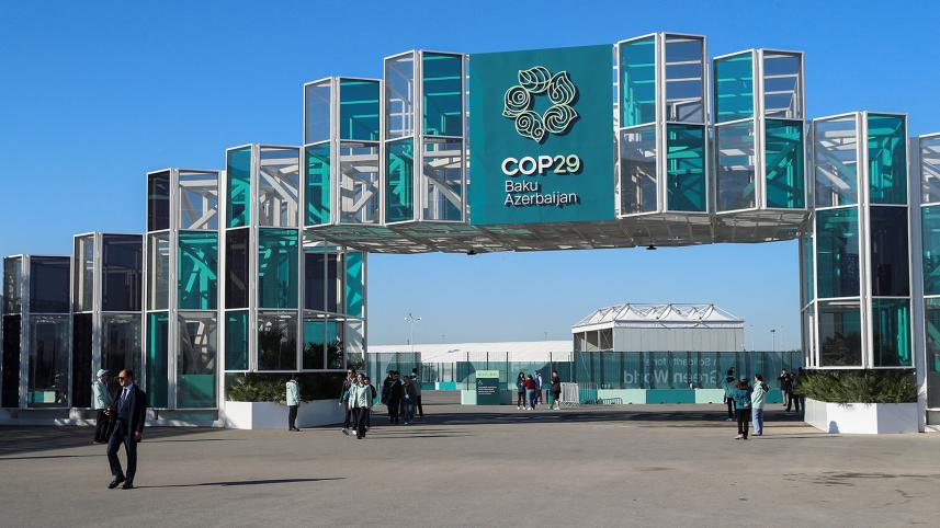 COP29 carbon credits
