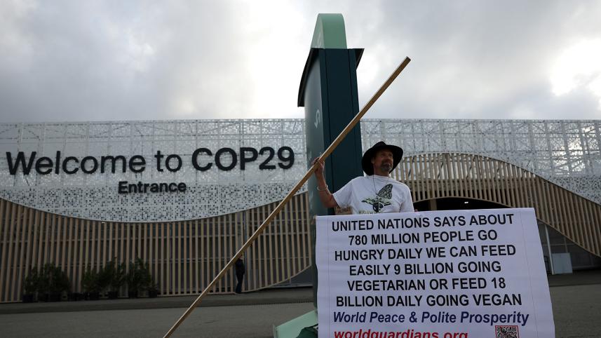 cop29_climate_summit_in_baku_2024.jpg