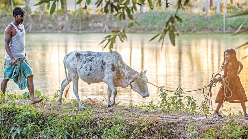 my-dhaka1.jpg