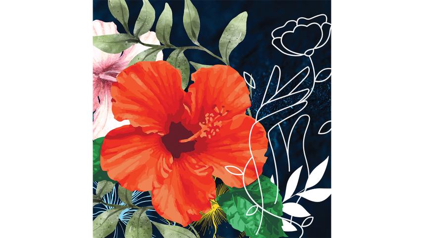 hibiscus-field.jpg