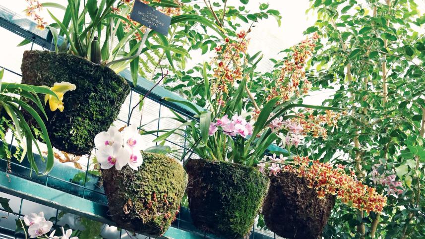 plants-1.jpg