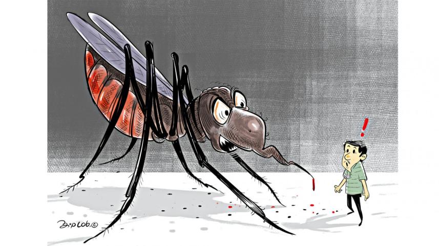 In the mosquitoes’ den