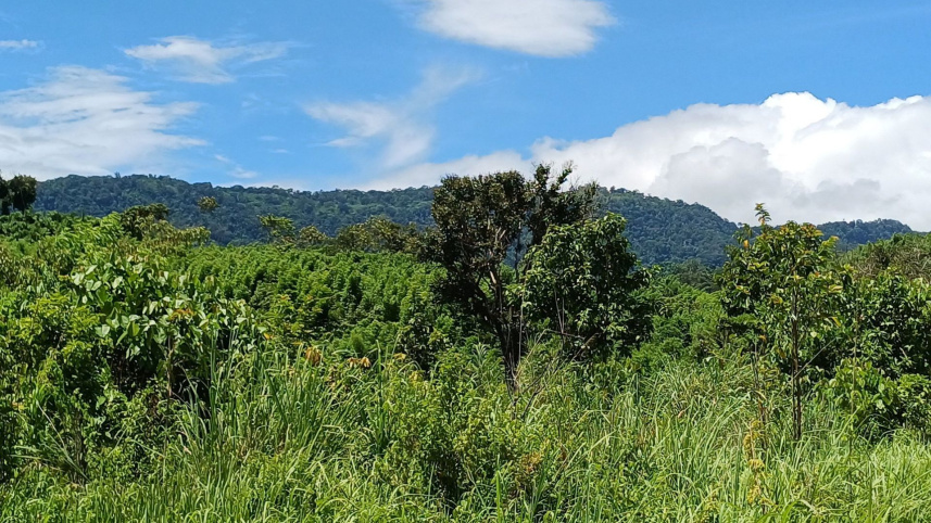 bandarban