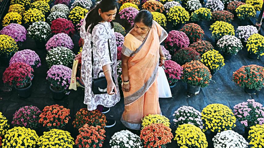 flower.jpg