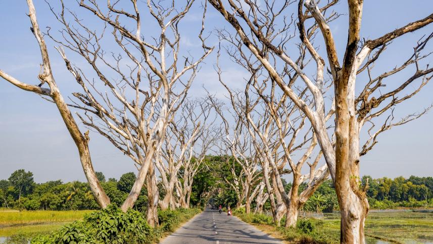 climate_crisis_in_bangladesh.jpg