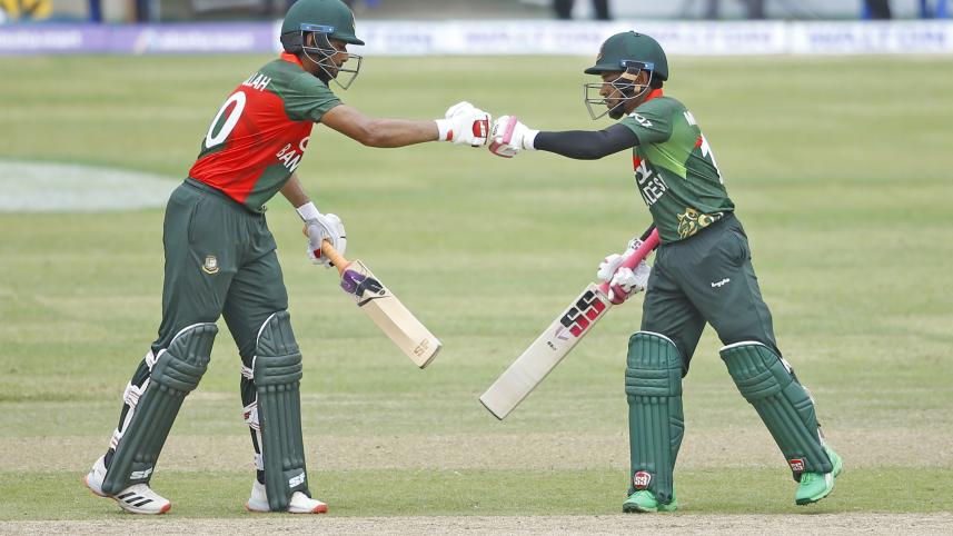 mahmud-mushi_4.jpg