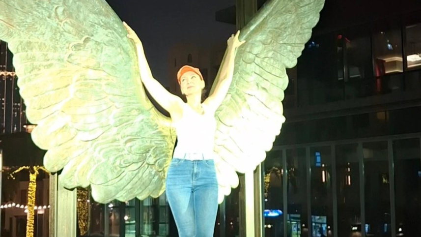 wings_of_mexico.jpg