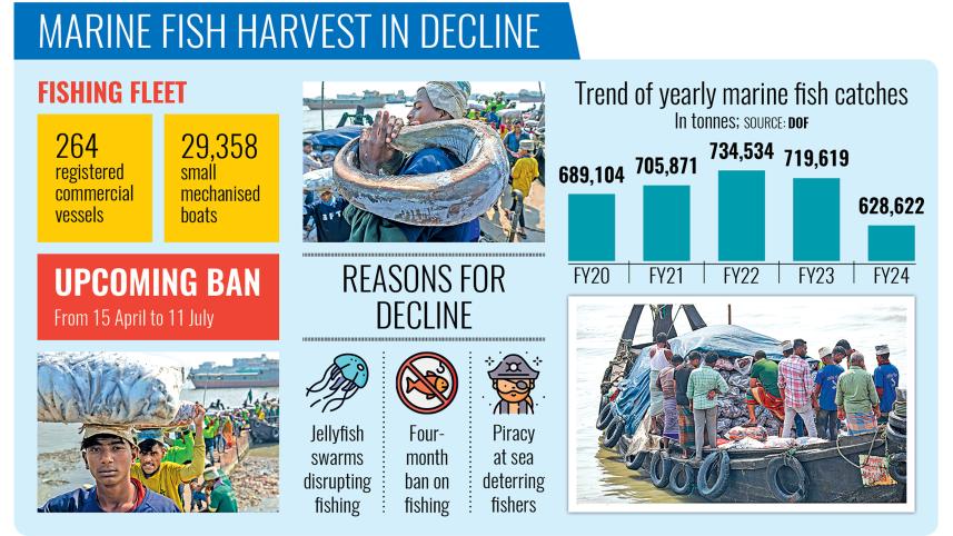 marine-fish-harvest.jpg