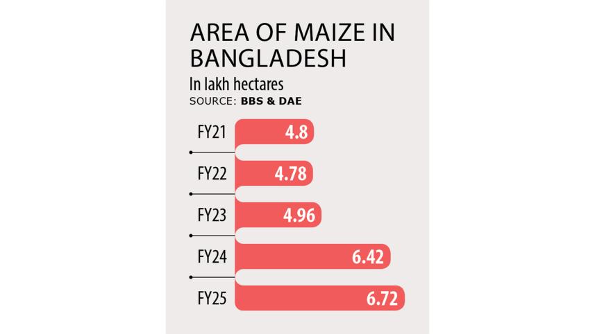 maize-2.jpg