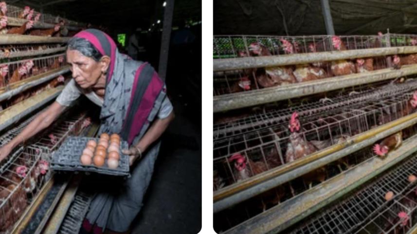 woman_farmer_womens_day.jpg