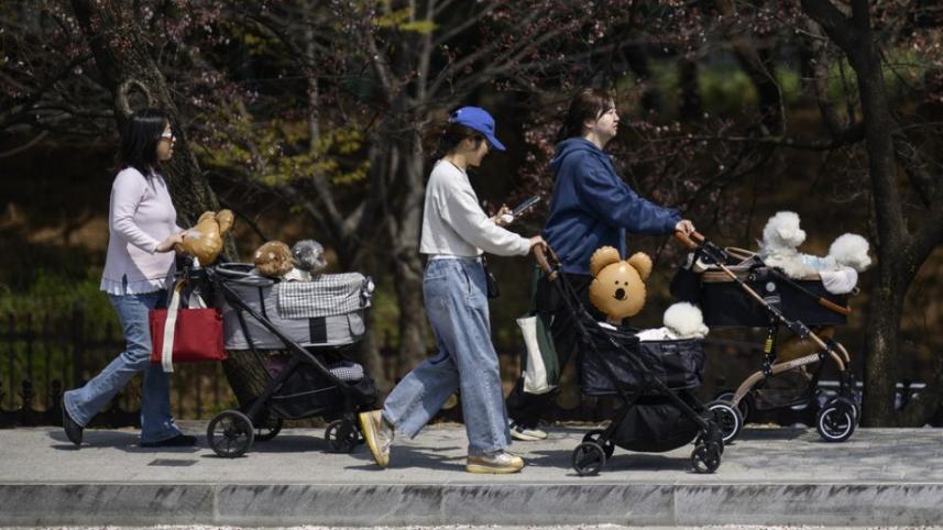 korea.jpg