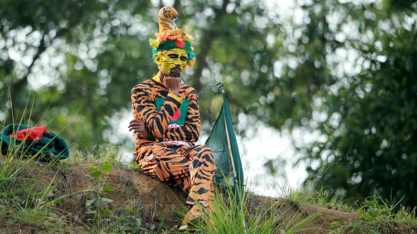 Tiger Fan.jpg