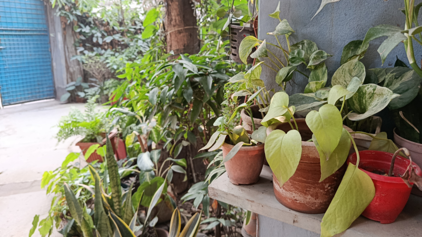 redmi_note_14_photos_3.png