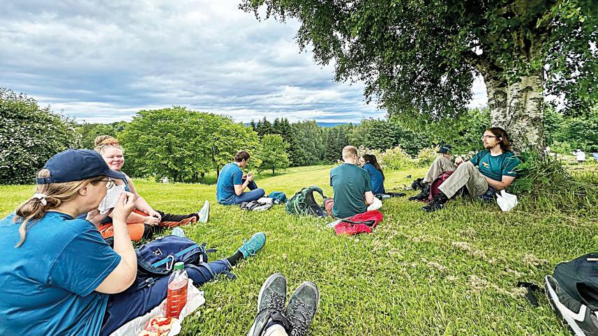 nordic-summer.jpg