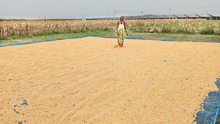 maize-farmers-2.jpg