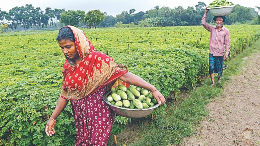 farmers