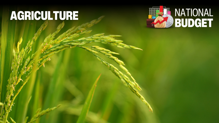 agriculture.jpg