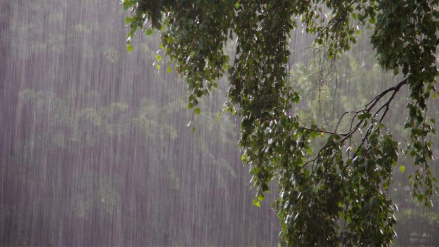 rain_1.jpg