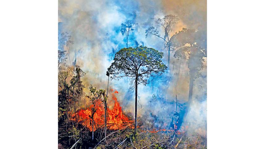 ecocide.jpg
