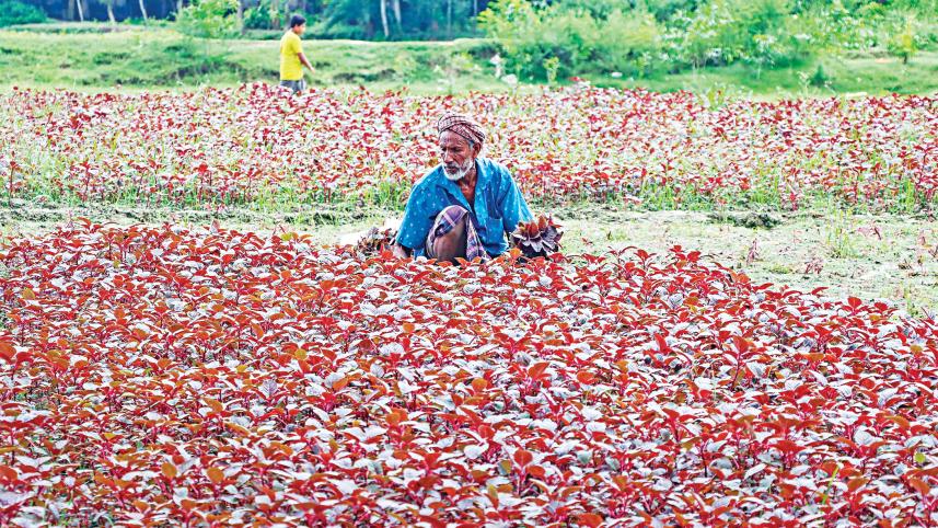 agricultural-output.jpg