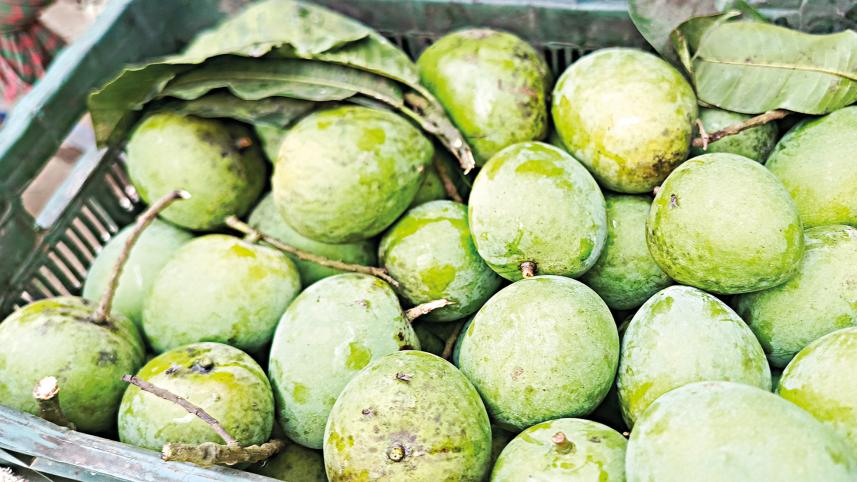haribhanga-mango.jpg
