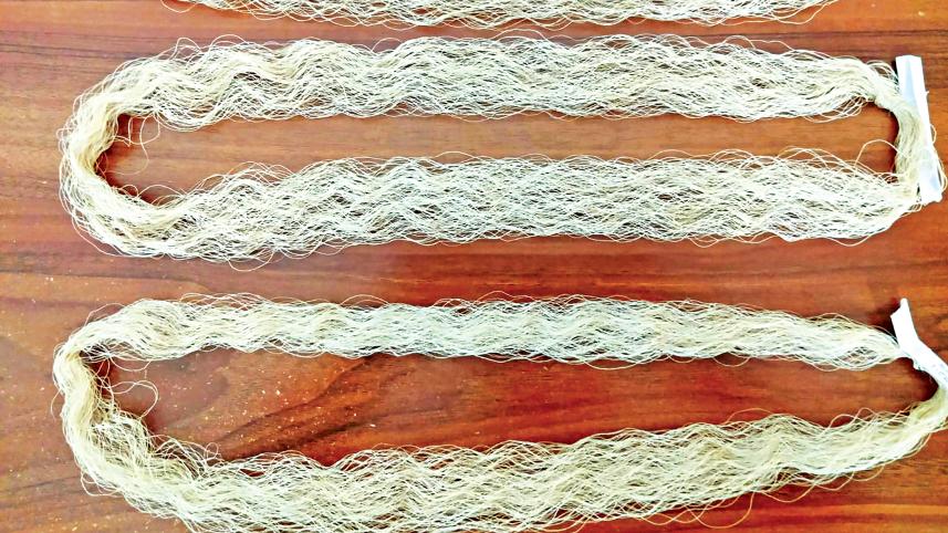 silk5.jpg