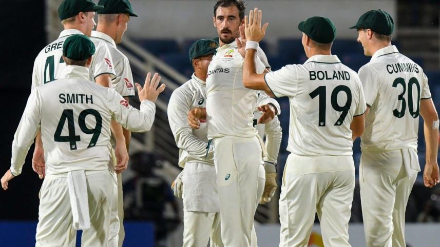 starc.jpg