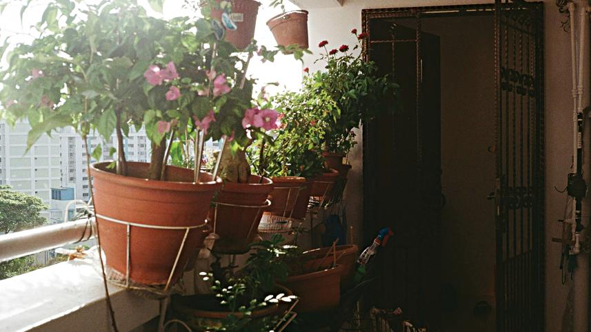 urban-1.jpg