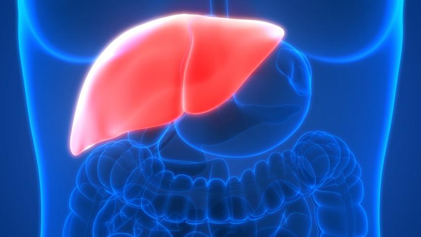 liver_cancer.jpg