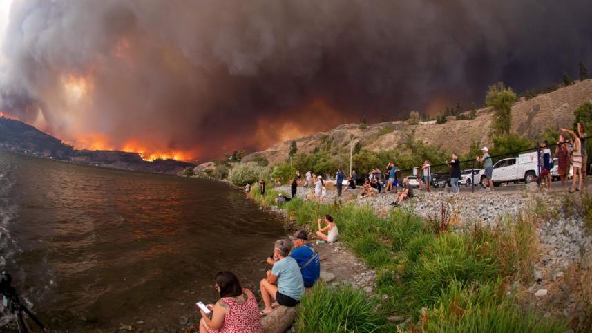 Wildfire