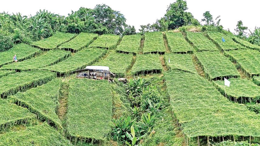 bandarban-1.jpg