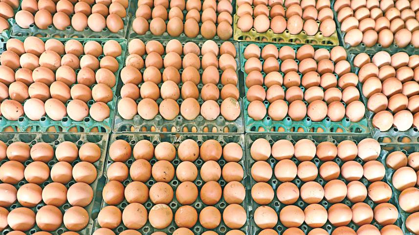 agricultural-supply-chain-2.jpg