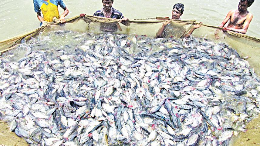 mymensingh-1.jpg