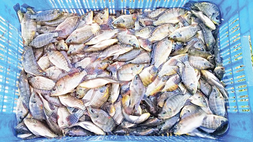 mymensingh-2.jpg