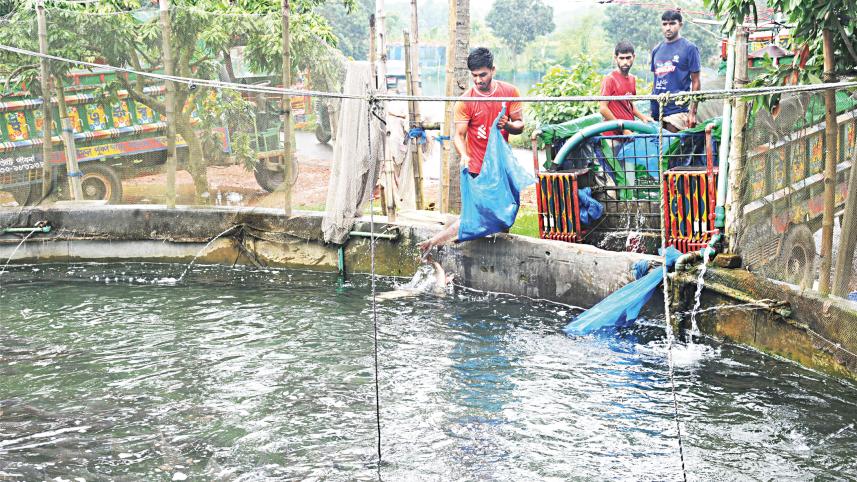 rajshahi-1.jpg