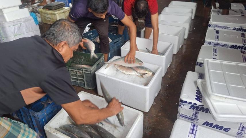 Bangladesh exports hilsa fish to India