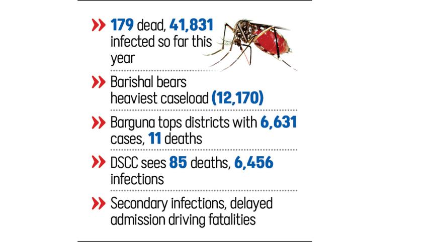 dengue.jpg