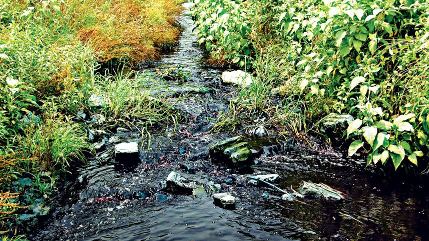 5shitalakkhya_river_narayanganj.jpg