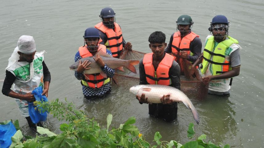 Fisheries-3