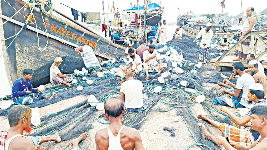 hilsa-1.jpg