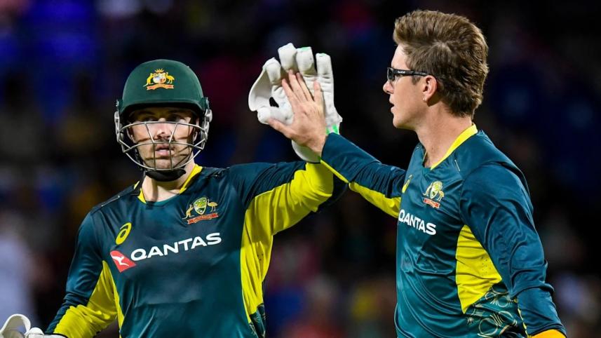 inglis-zampa.jpg