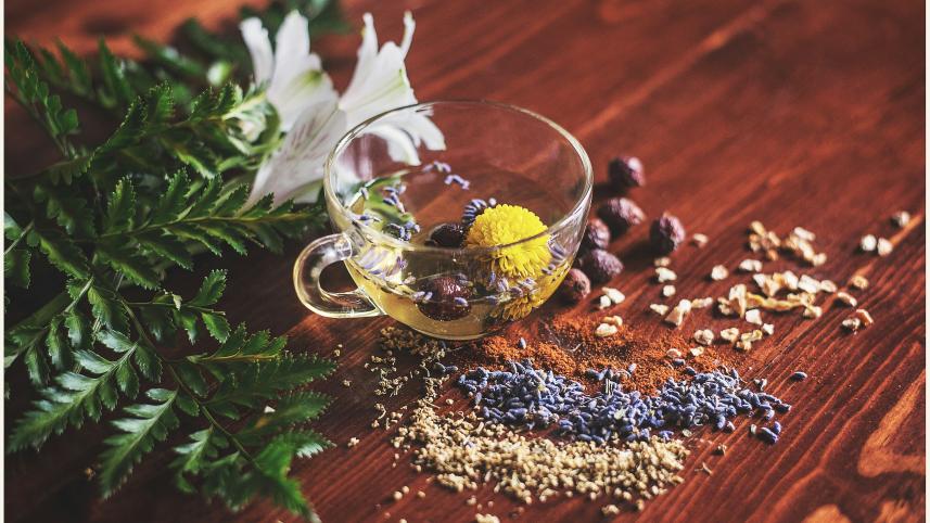 Why many moms lean toward home remedies during pregnancy            lisa-hobbs-mranok_ld6s-unsplash.jpg