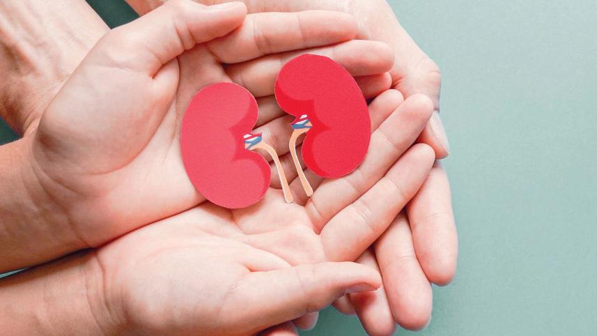 kidney donation law in Bangladesh