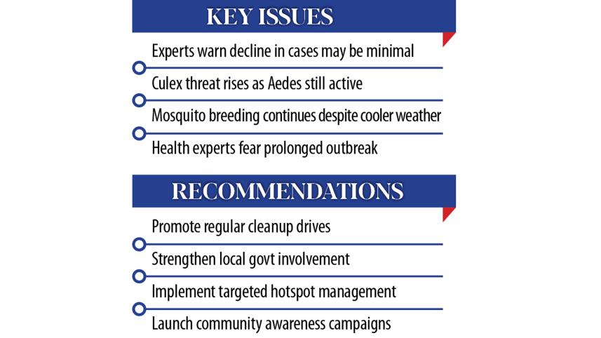 dengue-text.jpg