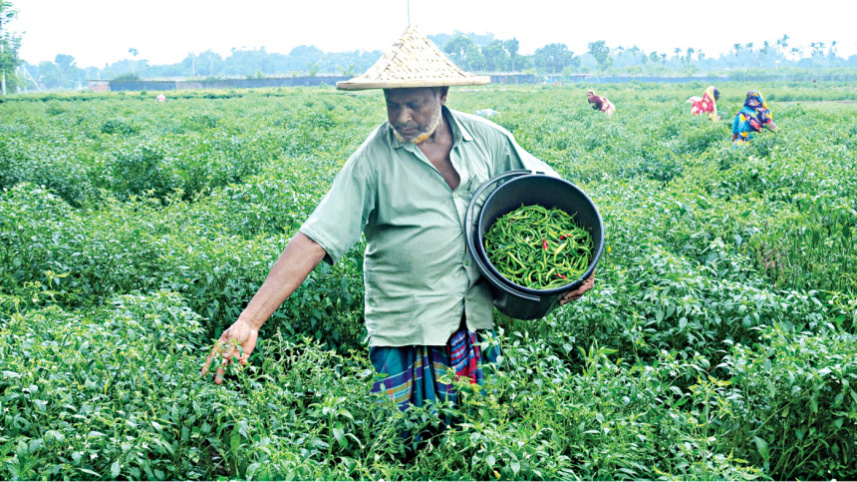 farmer_new.jpg