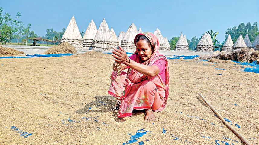 kurigram-char-economy-01-1.jpg