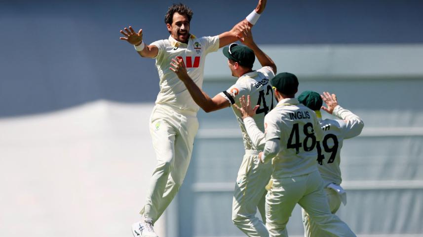 starc1.jpg